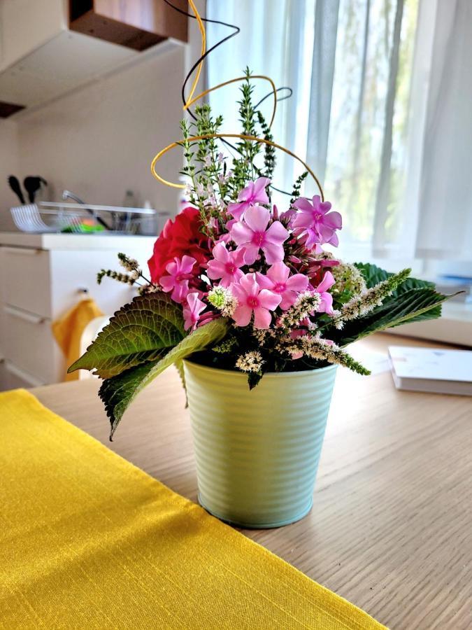 Apartment Sonnenschein Дорнбирн Экстерьер фото
